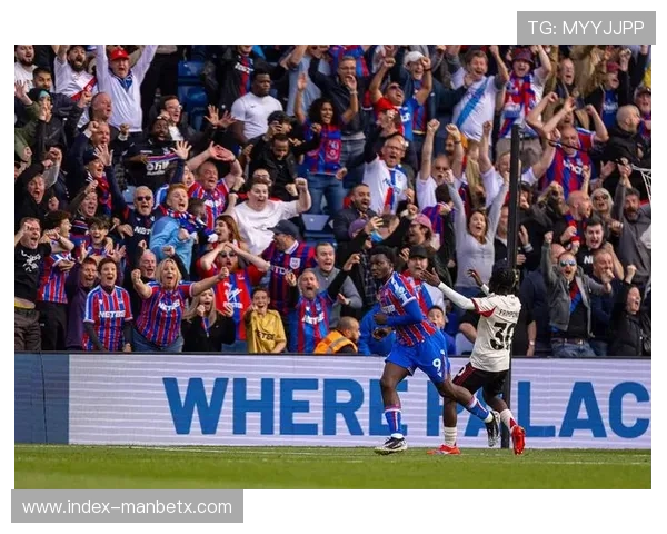 万博体育网页水晶宫队伍实力详尽评测与未来发展趋势