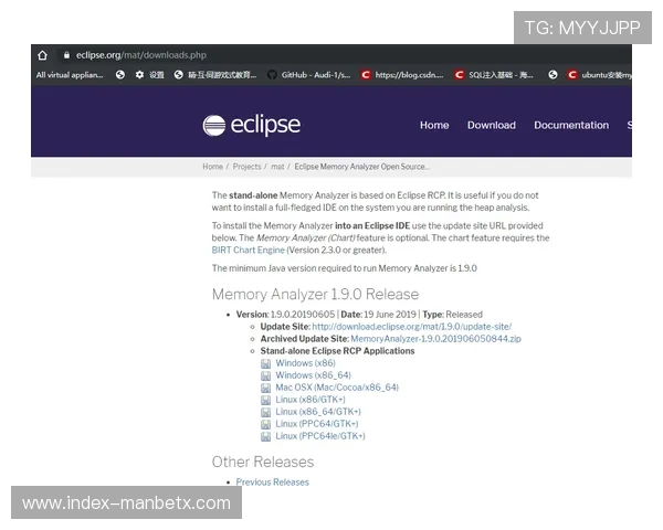 万博网站地址查询方式与常见问题解答分析